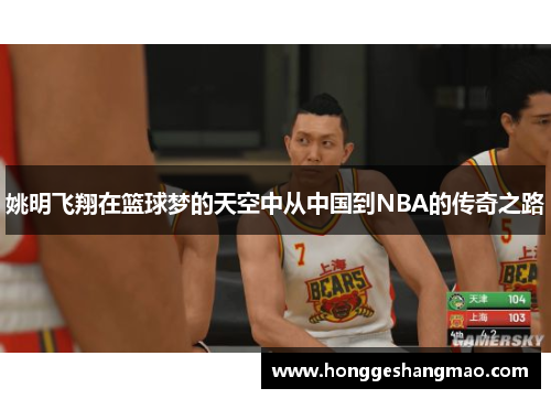 姚明飞翔在篮球梦的天空中从中国到NBA的传奇之路