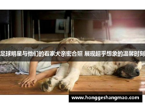 足球明星与他们的看家犬亲密合照 展现超乎想象的温馨时刻