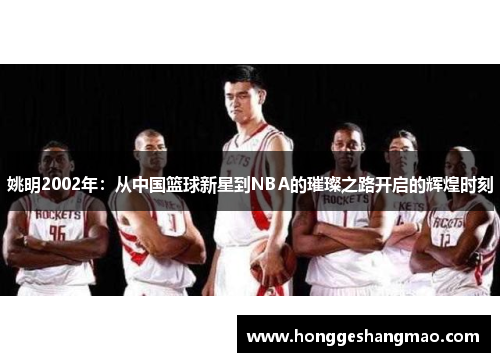 姚明2002年：从中国篮球新星到NBA的璀璨之路开启的辉煌时刻