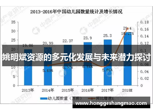 姚明斌资源的多元化发展与未来潜力探讨